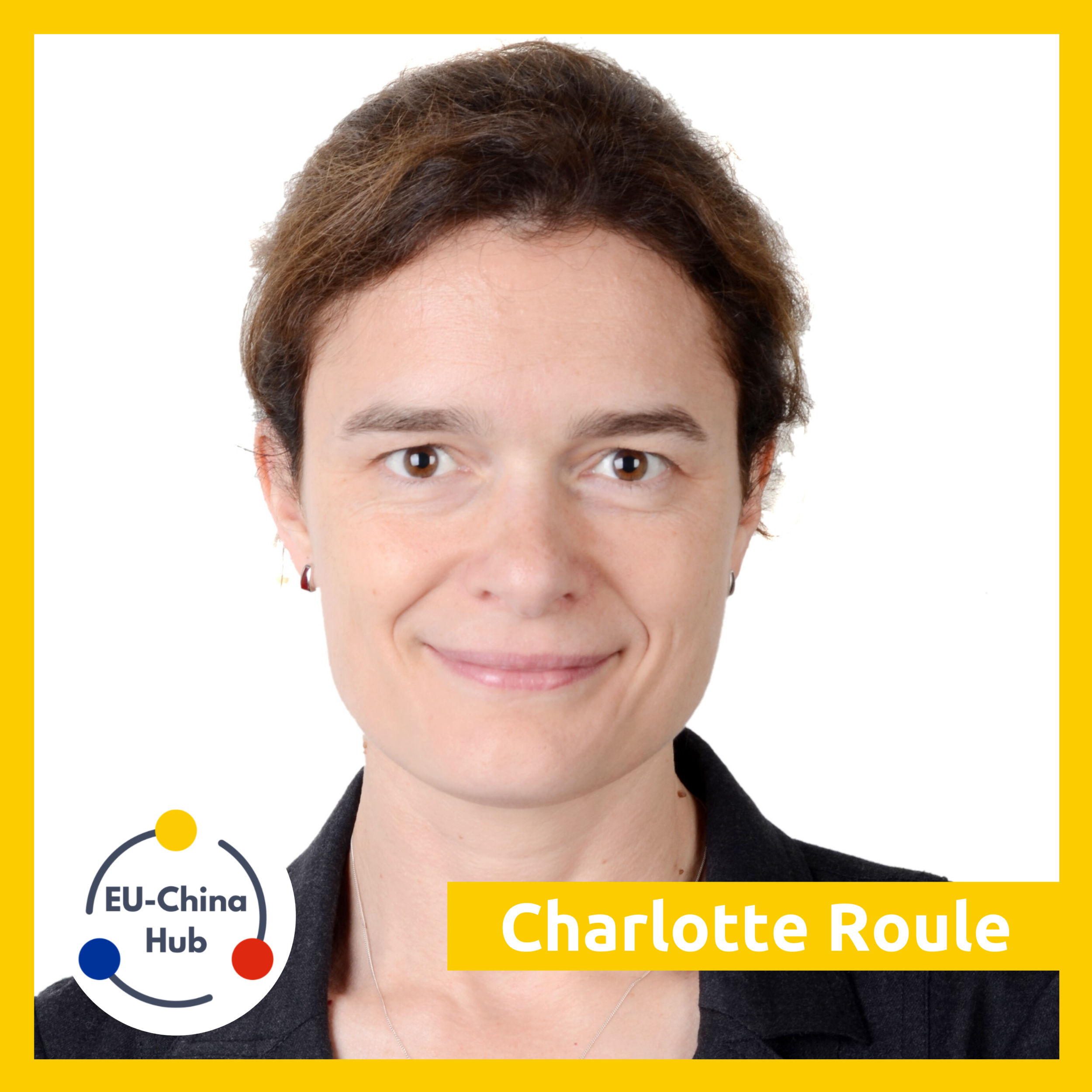 CHARLOTTE ROULE: One Economy, Two Systems - European Businesses in China Amid the Pandemic